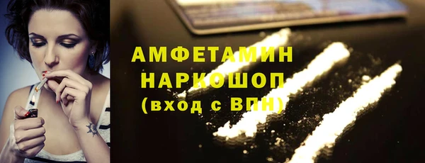 метадон Богданович