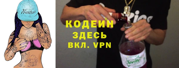 метадон Богданович
