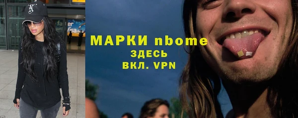 метадон Богданович