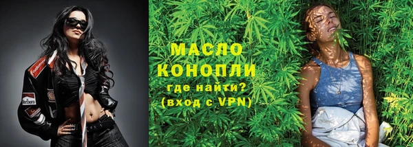 метадон Богданович