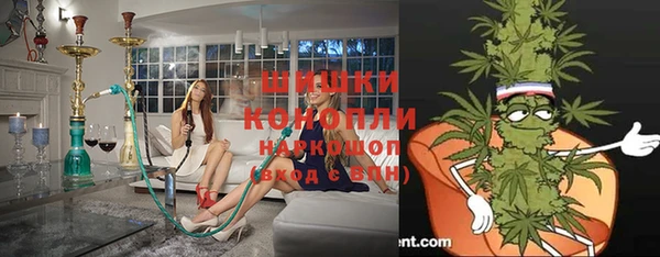 метадон Богданович